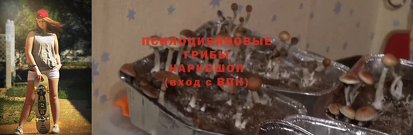 ECSTASY Балахна