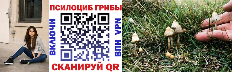 Галлюциногенные грибы Cubensis  купить  цена  Нарьян-Мар 